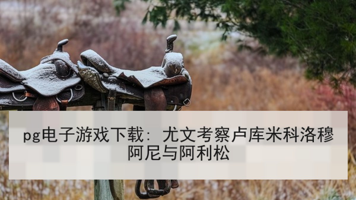 pg电子游戏下载: 尤文考察卢库米科洛穆阿尼与阿利松 pg电子游戏下载: 尤文考察卢库米科洛穆阿尼与阿利松
