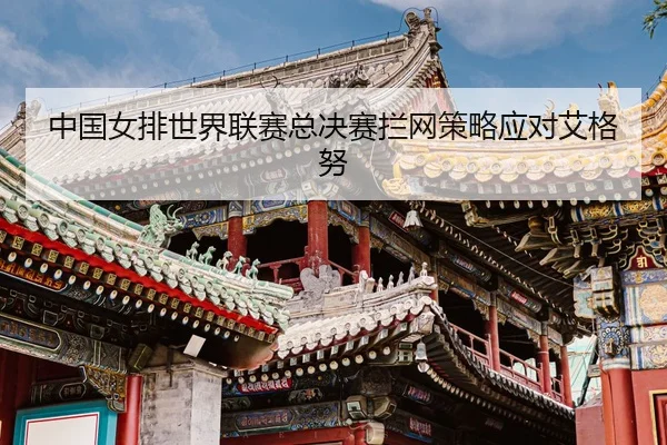 zhong-guo-nv-pai-shi-jie-lian-sai-zong-jue-sai-lan-wang-ce-lve-ying-dui-ai-ge-nu-3-359.jpg