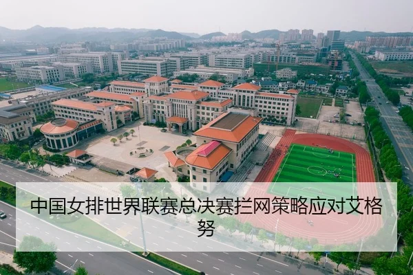 中国女排世界联赛总决赛拦网策略应对艾格努