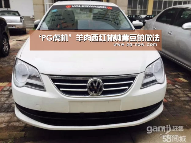 ‘PG虎机’羊肉西红柿炖黄豆的做法(图1) PG麻将