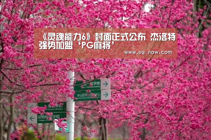 PG麻将